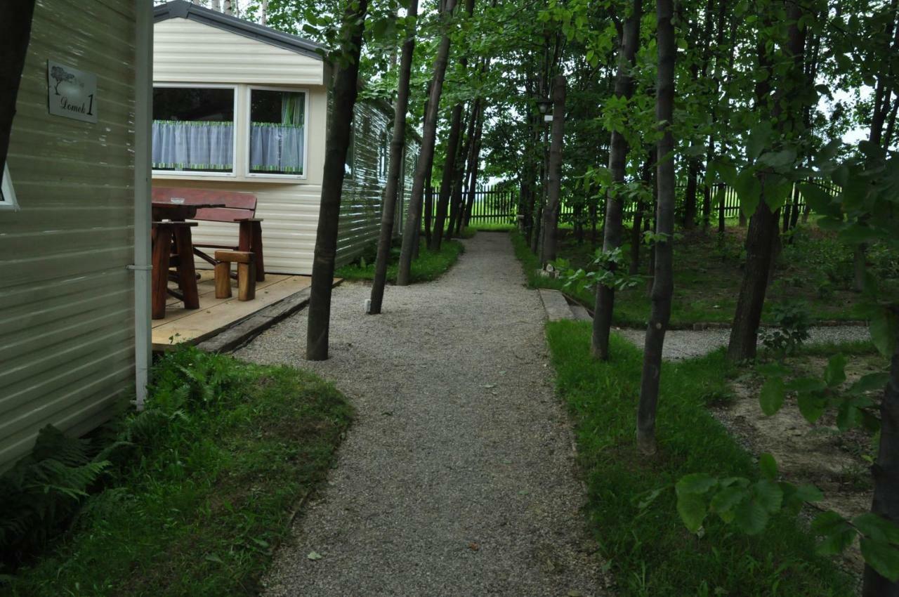Agroturystyka Wichrowe Wzgorze Osiek  Bagian luar foto